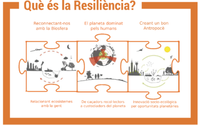 Què és la Resiliència?