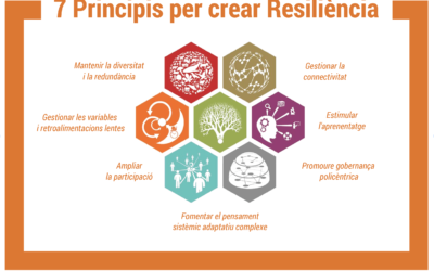 7 Principis per crear Resiliència